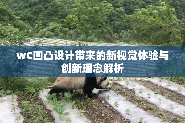 wC凹凸设计带来的新视觉体验与创新理念解析