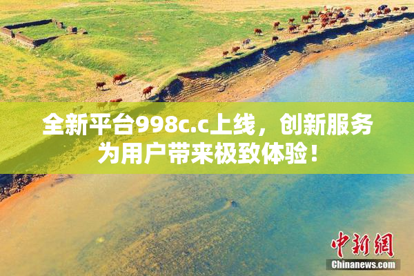 全新平台998c.c上线，创新服务为用户带来极致体验！