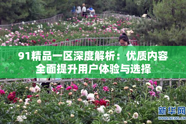 91精品一区深度解析：优质内容全面提升用户体验与选择