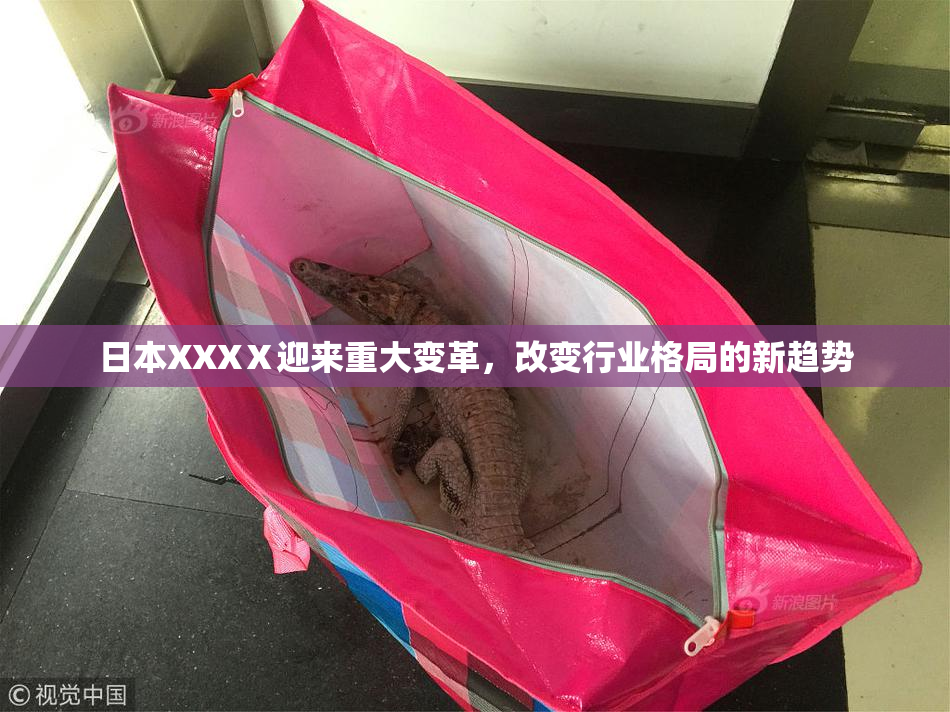 日本XXXⅩ迎来重大变革，改变行业格局的新趋势
