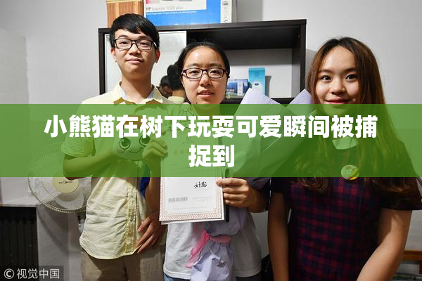 小熊猫在树下玩耍可爱瞬间被捕捉到