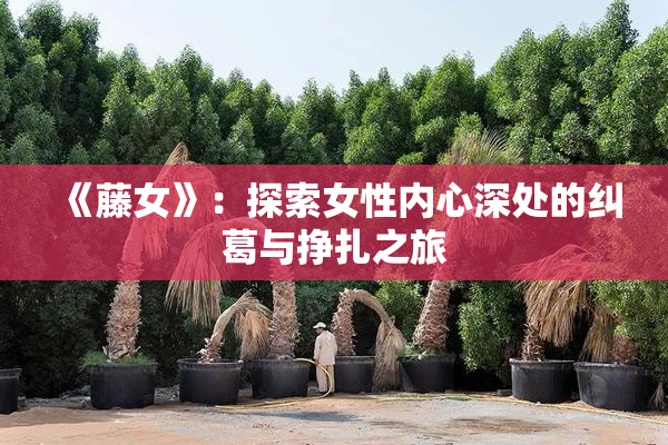 《藤女》：探索女性内心深处的纠葛与挣扎之旅