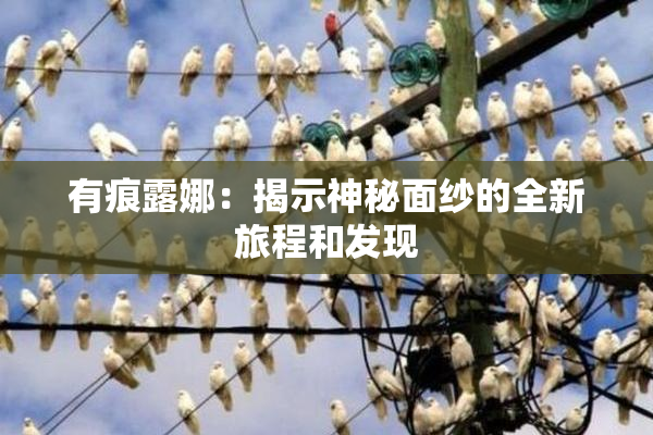 有痕露娜：揭示神秘面纱的全新旅程和发现