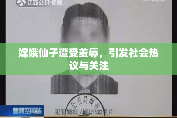 嫦娥仙子遭受羞辱，引发社会热议与关注