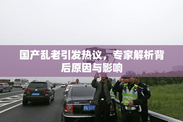国产乱老引发热议，专家解析背后原因与影响