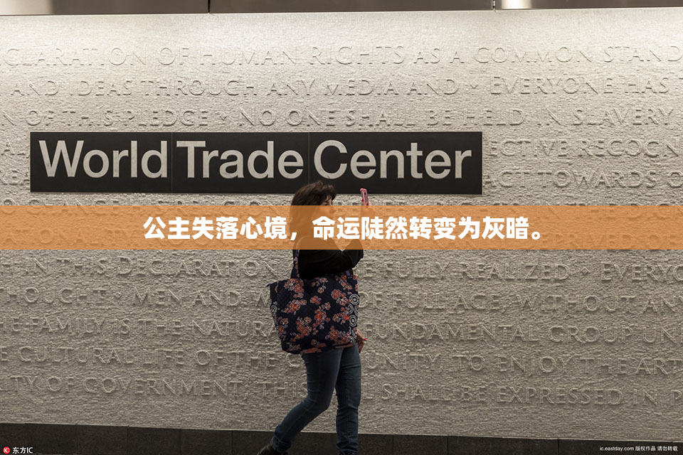 公主失落心境，命运陡然转变为灰暗。