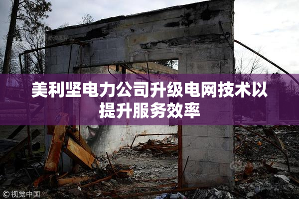 美利坚电力公司升级电网技术以提升服务效率