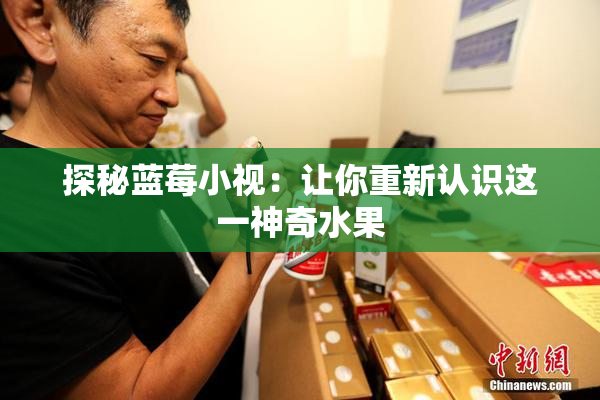 探秘蓝莓小视：让你重新认识这一神奇水果