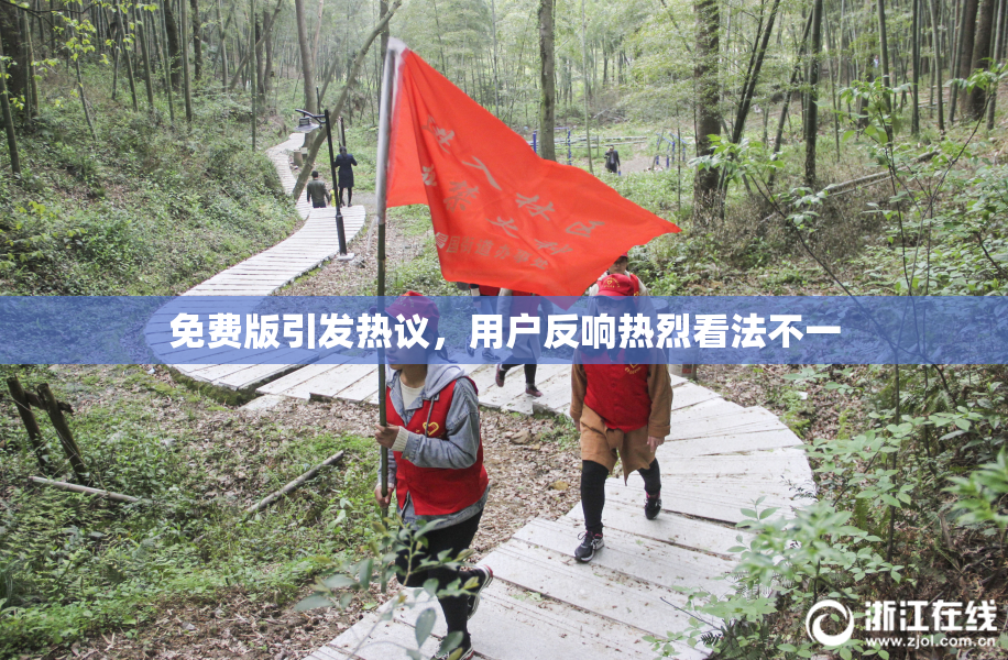 免费版引发热议，用户反响热烈看法不一