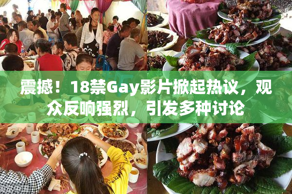 震撼！18禁Gay影片掀起热议，观众反响强烈，引发多种讨论