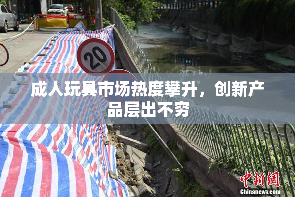 成人玩具市场热度攀升，创新产品层出不穷