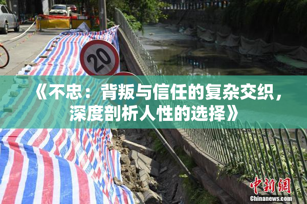 《不忠：背叛与信任的复杂交织，深度剖析人性的选择》