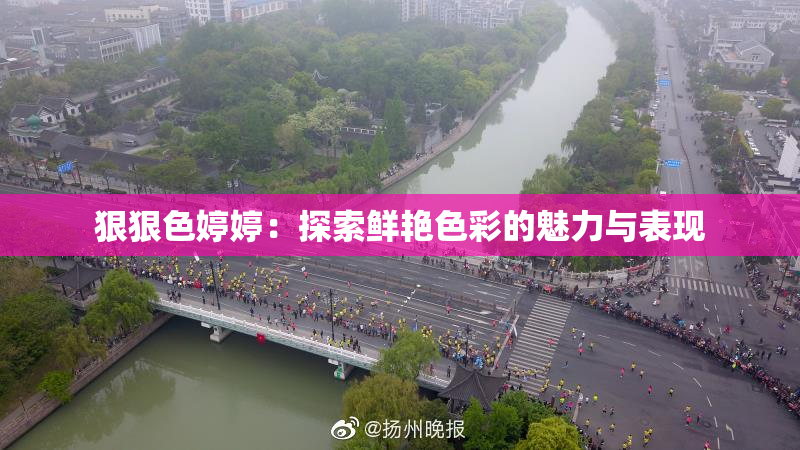 狠狠色婷婷：探索鲜艳色彩的魅力与表现