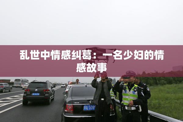 乱世中情感纠葛：一名少妇的情感故事