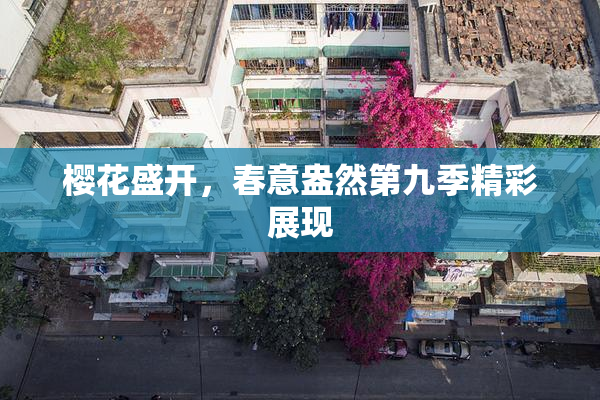 樱花盛开，春意盎然第九季精彩展现