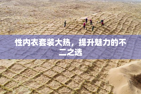性内衣套装大热，提升魅力的不二之选