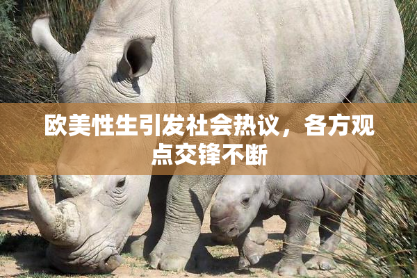 欧美性生引发社会热议，各方观点交锋不断