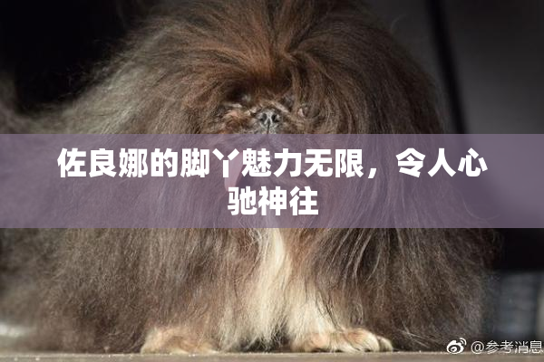 佐良娜的脚丫魅力无限，令人心驰神往