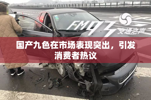 国产九色在市场表现突出，引发消费者热议