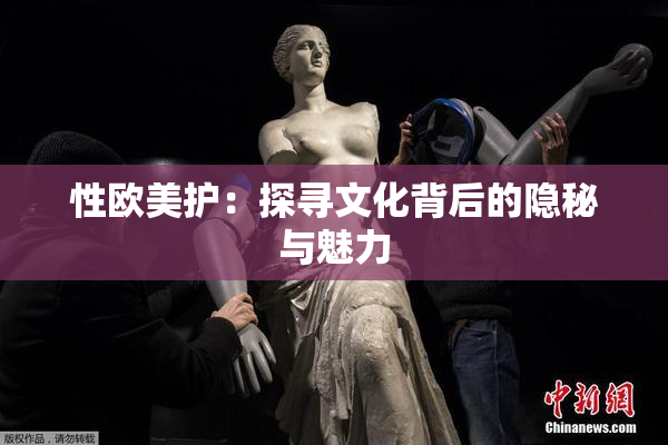 性欧美护：探寻文化背后的隐秘与魅力