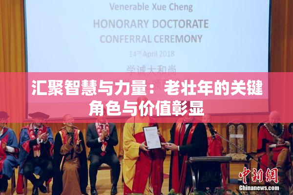 汇聚智慧与力量：老壮年的关键角色与价值彰显