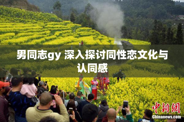男同志gy 深入探讨同性恋文化与认同感