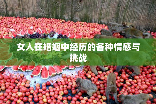 女人在婚姻中经历的各种情感与挑战