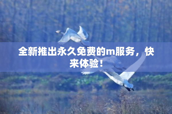 全新推出永久免费的m服务，快来体验！