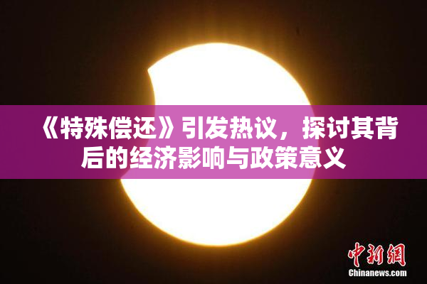 《特殊偿还》引发热议，探讨其背后的经济影响与政策意义