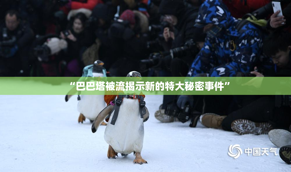 “巴巴塔被流揭示新的特大秘密事件”