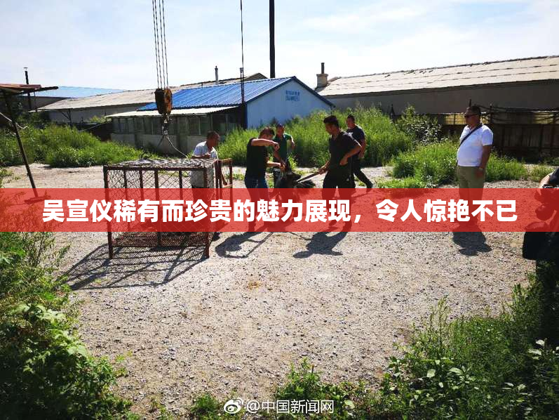 吴宣仪稀有而珍贵的魅力展现，令人惊艳不已