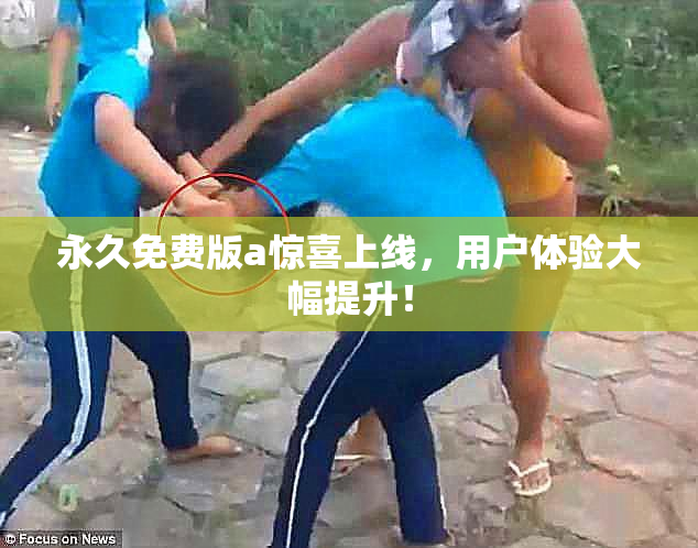 永久免费版a惊喜上线，用户体验大幅提升！