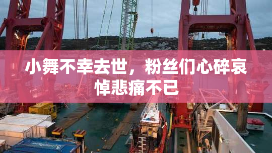 小舞不幸去世，粉丝们心碎哀悼悲痛不已