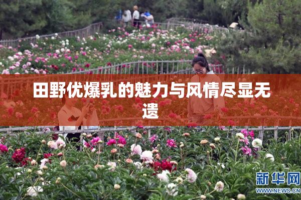 田野优爆乳的魅力与风情尽显无遗