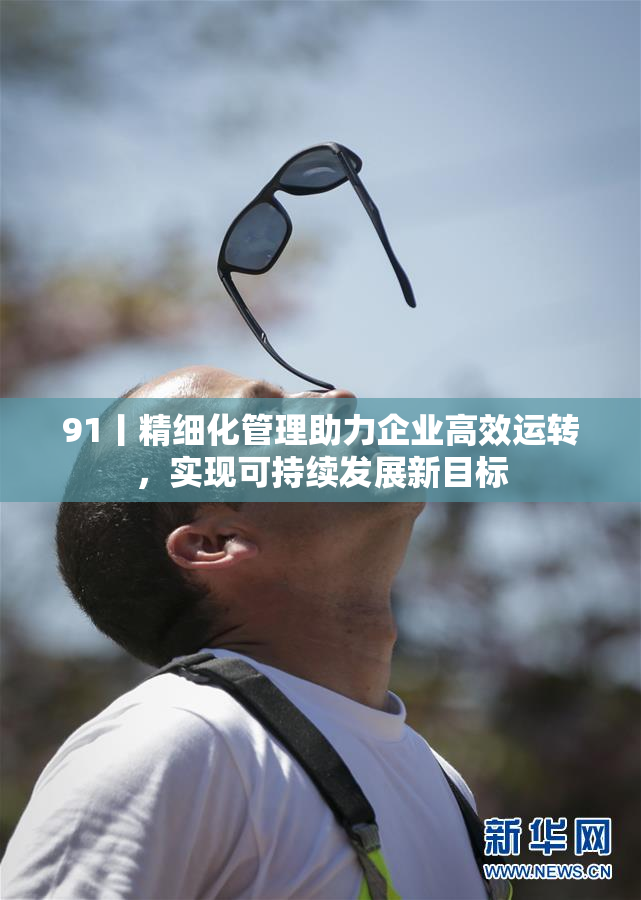 91丨精细化管理助力企业高效运转，实现可持续发展新目标