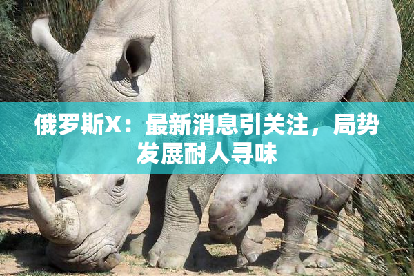 俄罗斯X：最新消息引关注，局势发展耐人寻味