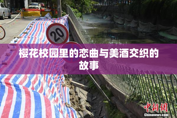 樱花校园里的恋曲与美酒交织的故事