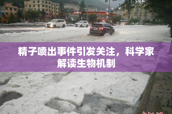 精子喷出事件引发关注，科学家解读生物机制