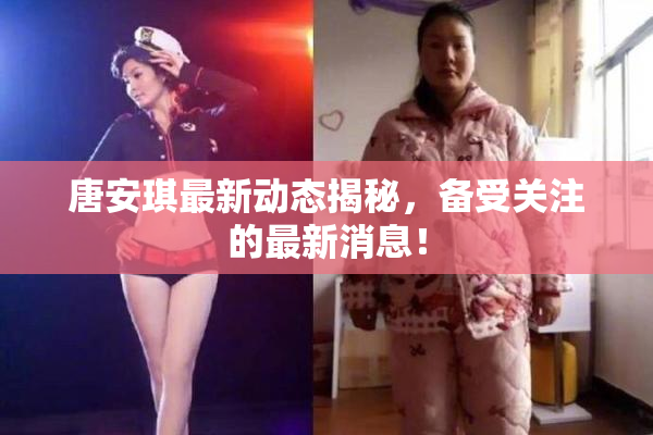 唐安琪最新动态揭秘，备受关注的最新消息！