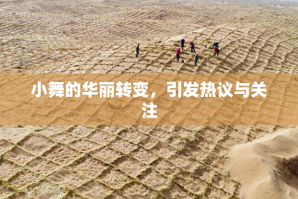 小舞的华丽转变，引发热议与关注