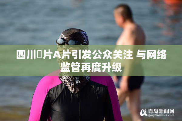 四川婬片A片引发公众关注 与网络监管再度升级