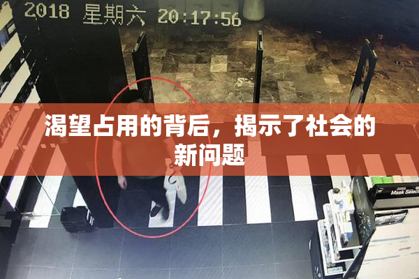 渴望占用的背后，揭示了社会的新问题