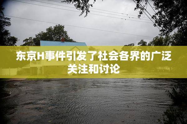 东京H事件引发了社会各界的广泛关注和讨论