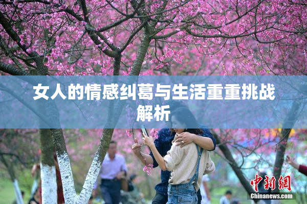 女人的情感纠葛与生活重重挑战解析