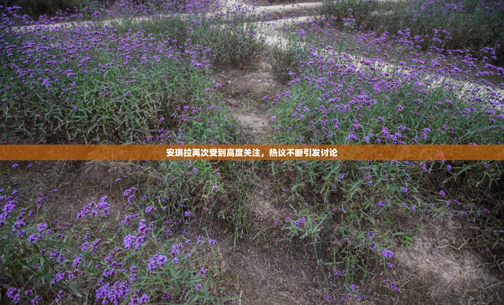 安琪拉再次受到高度关注，热议不断引发讨论