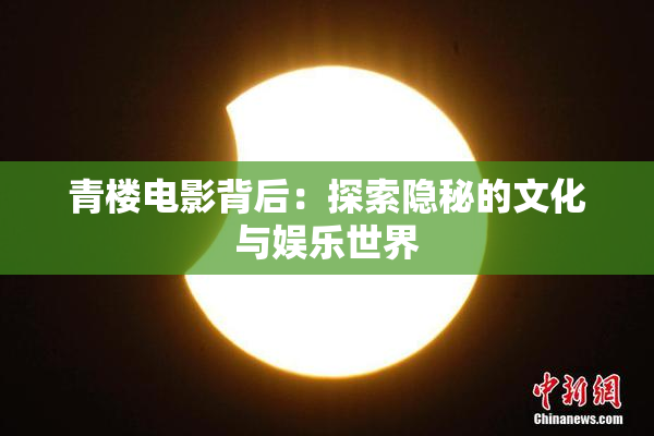 青楼电影背后：探索隐秘的文化与娱乐世界