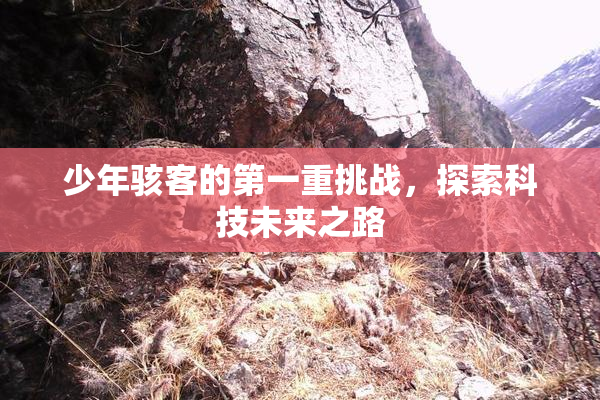 少年骇客的第一重挑战，探索科技未来之路