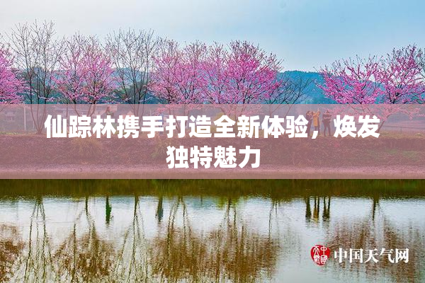 仙踪林携手打造全新体验，焕发独特魅力