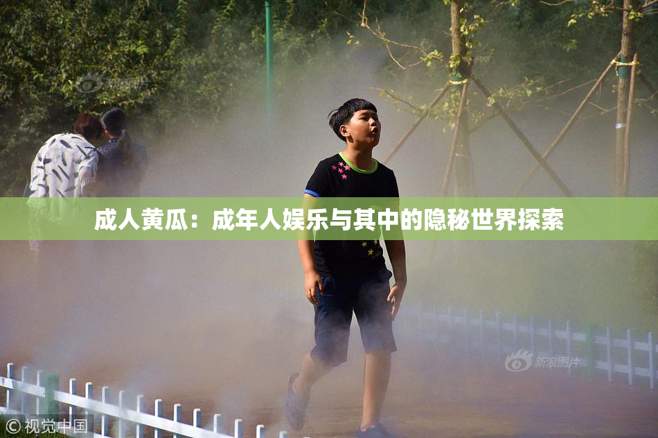 成人黄瓜：成年人娱乐与其中的隐秘世界探索