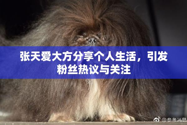 张天爱大方分享个人生活，引发粉丝热议与关注
